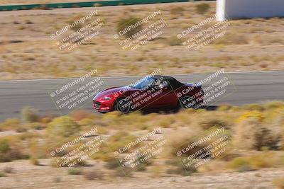 media/Oct-25-2025-West Coast Racing (Sat) [[9fdcbcd09c]]/Novice group/Turn 4/